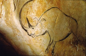 800px-Rhinocéros_grotte_Chauvet