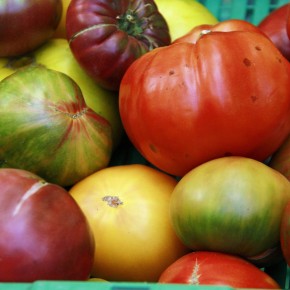 Régime alimentaire: Il était une fois un monde sans viande…