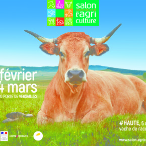 Salon de l’agriculture : pour les grands comme pour les petits…