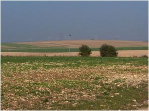 Terre calcaire et champ d'éoliennes aux environs de Bure crédits : Ji-Elle (Wikipédia Commons)